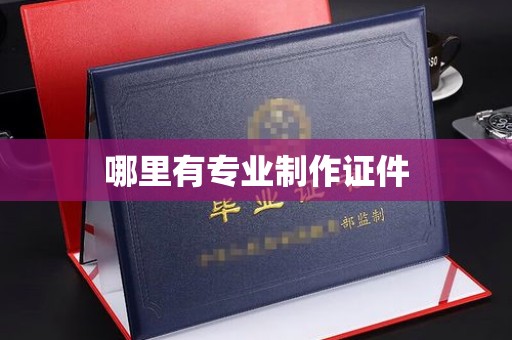 泽普哪里有专业制作证件